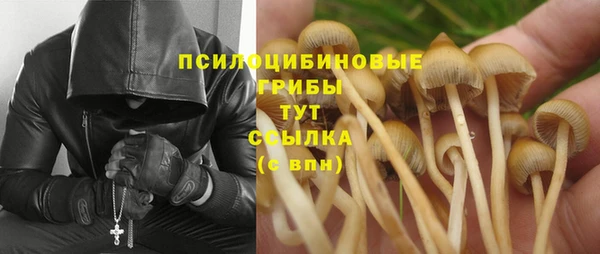 PSILOCYBIN Балабаново