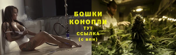 PSILOCYBIN Балабаново