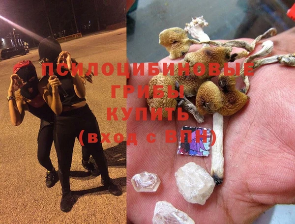 PSILOCYBIN Балабаново
