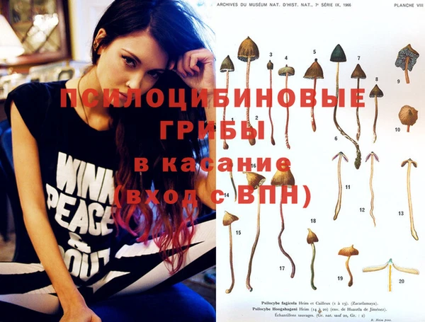 PSILOCYBIN Балабаново