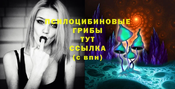 PSILOCYBIN Балабаново