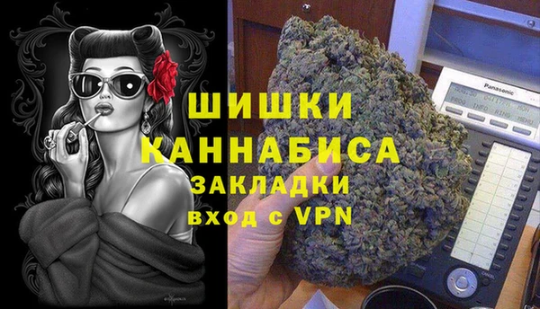 PSILOCYBIN Балабаново