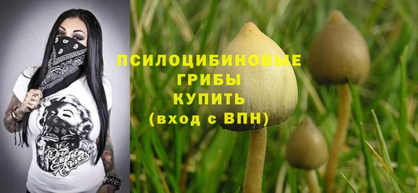 гидропоника Баксан